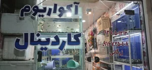 فروشگاه آکواریوم کاردینال 5