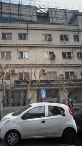 دکتر فاطمه شیرانی 5