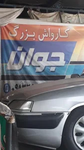 کارواش بزرگ جوان 5