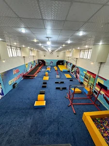 باشگاه ژیمناستیک آنیل