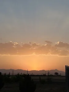 باغ عابدی و نعمتی