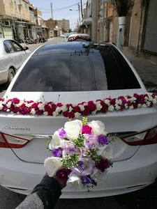 خانه گل کاکتوس