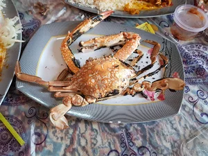 غذای دریایی تاخره