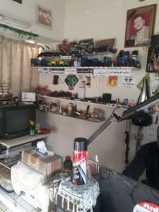 هنر نما
