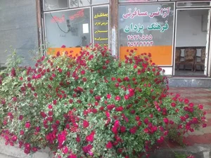 آژانس مسافرتی و تاکسی تلفنی فرهنگ یزدان