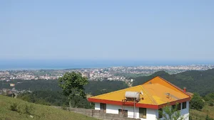 سینوا