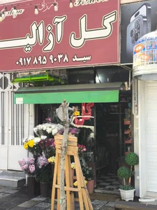 گل آزالیا 2