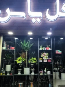 گل یاس 3