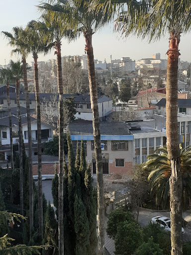 پارک محوطه کاخ