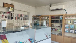 همراه جوان