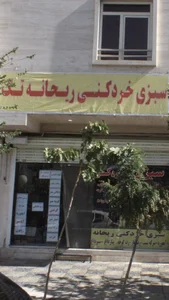 سبزی خردکنی ریحانه تک 2