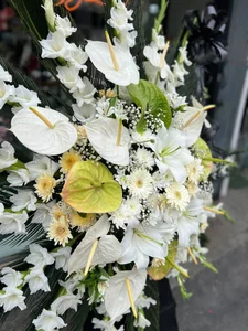 گلفروشی گلبرگ چالوس 3