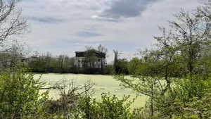 بندر کیاشهر