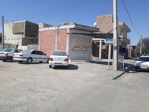 تزئینات اتومبیل شهــر ـ دیناری
