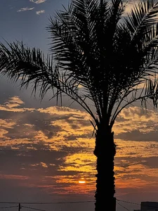 مسکن مهر کنگان