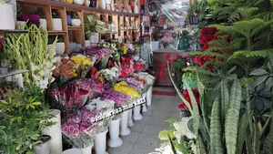 گل فروشي گل نرگس