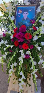 کافینت دانشجو