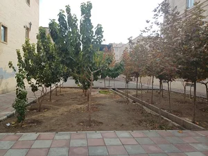 پارک اردلان