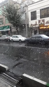 پیتزا مهر
