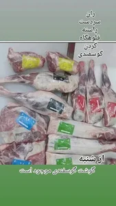 بارسو پروتئین