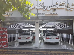 تشخیص رنگ قلی زاده