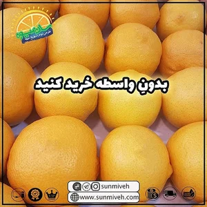 میوه فروشی آنلاین سان میوه