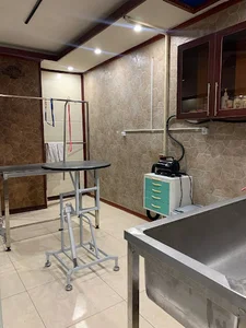 کلینیک دامپزشکی کرگدن