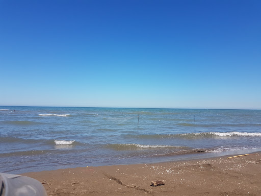 بوستان مرحوم محمود نجفی