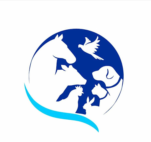 کلینیک دامپزشکی دکتر رازانی