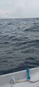 میناب محله رگو