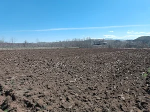 مزرعه مکانیک زنجان 🌻👷