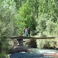 سوئیت آپارتمان نمونه