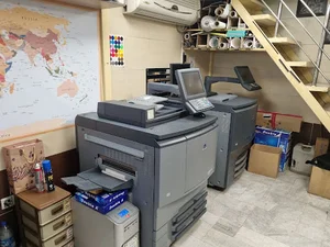 Narvan Print
