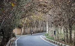 سوپر مارکت محله