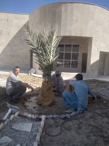 دانشگاه سراوان