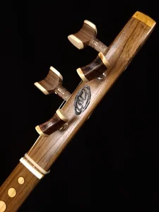 سه تار استادی