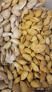 آجیل و خشکبار گشنیز