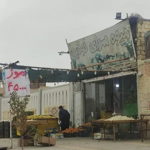 میوه فروشی نوقی 2