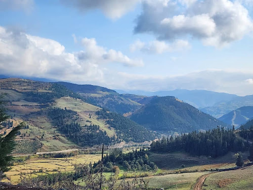 کافه رستوران دیدارعشق (همتی )