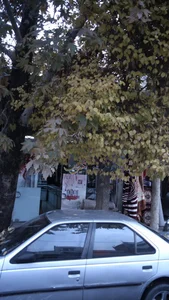 لوازم آرایشی و بهداشتی رنگین کمان 2