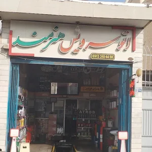اتو سرویس هنرمند