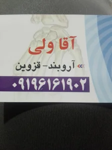 مطب سنتی سید