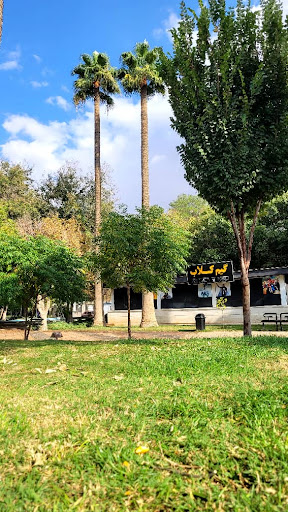 گیم کلاب آزادی