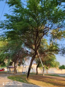 پارک شقایق 3