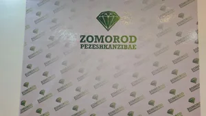 کلینیک زیبایی پزشکان زیبایی زمرد 2