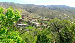 دُرسان گلد