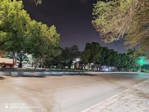پارک شهرداری