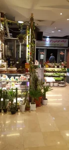 فروشگاه هوم کاکتوس 2