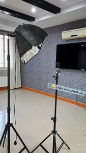 شتابدهنده انسان