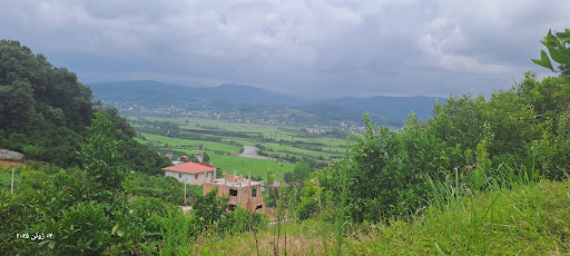 کلبه جنگلی زرین دشت